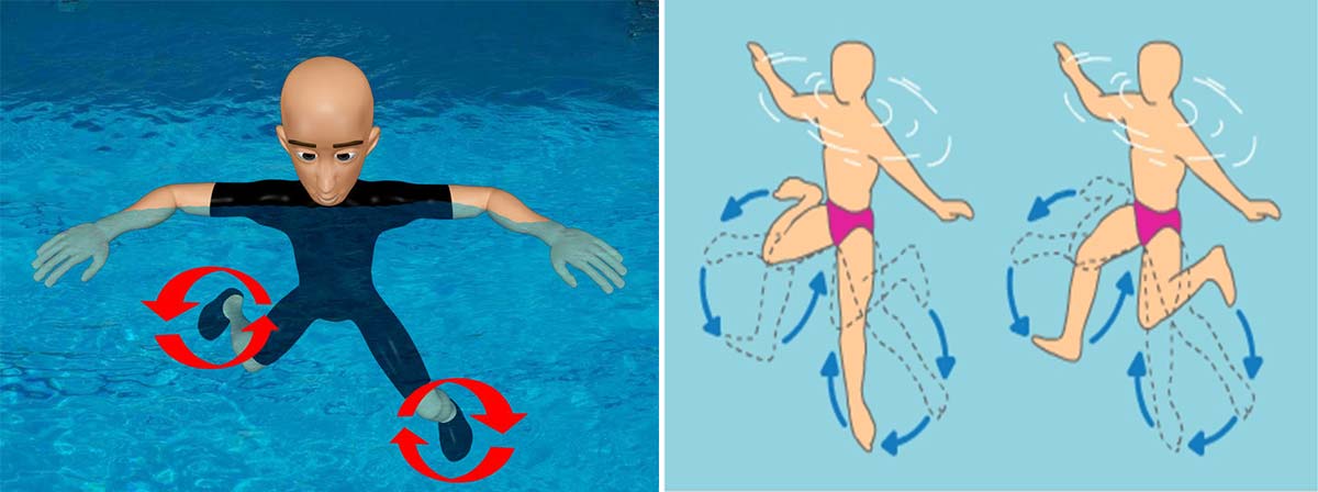 Các động tác chuyển động chân trong kỹ thuật bơi đứng
