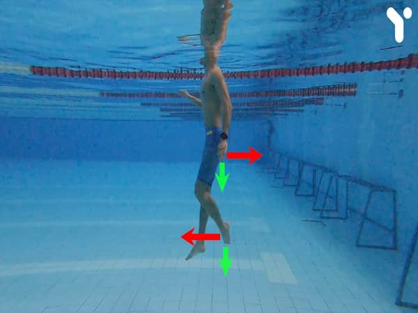 Kỹ thuật bơi đứng, cách tập đứng nước chuẩn nhất