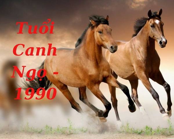 Con số may mắn của tuổi Canh Ngọ hôm nay 26/6/2024