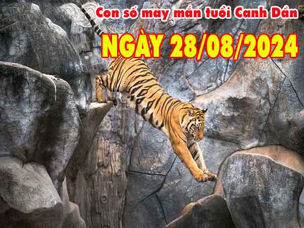 Phân tích con số may mắn tuổi Canh Dần ngày 28/8/2024 thứ 4 hôm nay